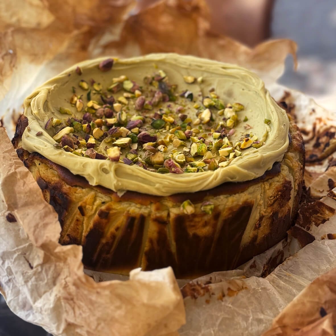 Фісташковий баскський чизкейк Cheesecake Family - найбільша колекція чизкейків в Україні